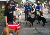 В США состоялся фестиваль «Dogtoberfest»